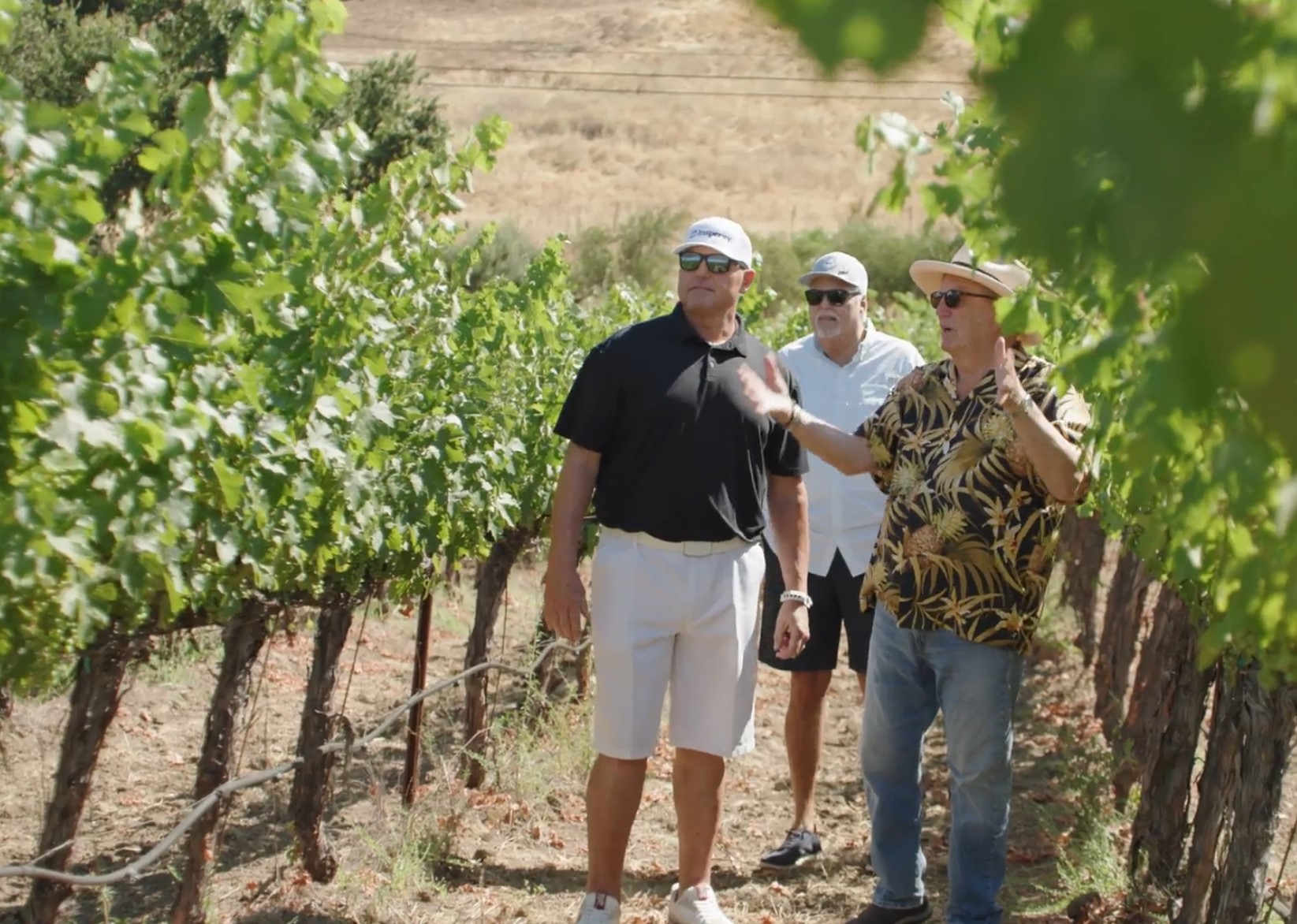 Hidesight Wines Annotation
