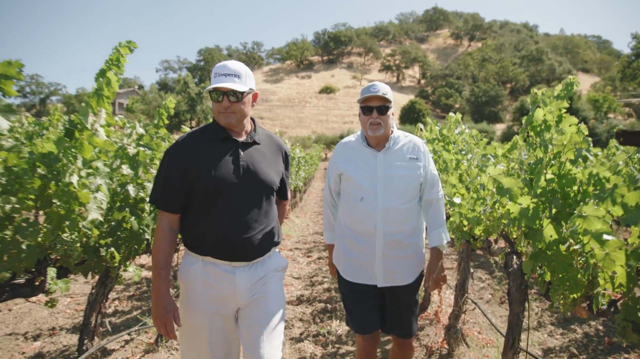 Hidesight Wines Annotation